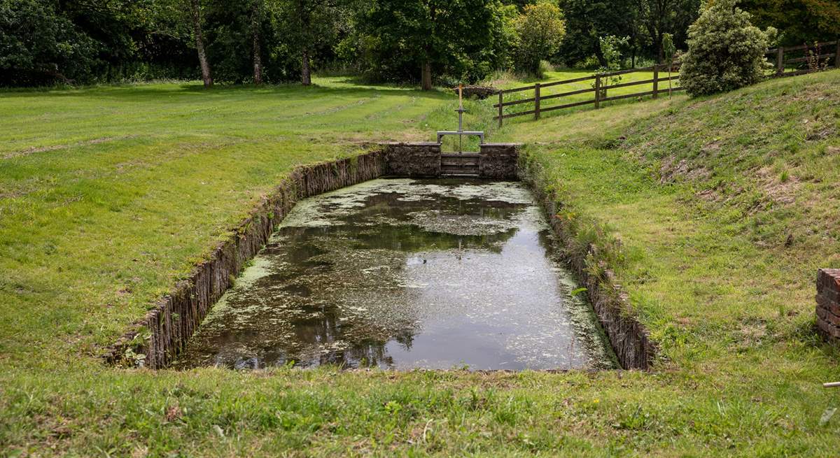 Situated a little distance from the side of The Old Mill is this pretty pond (please take care with younger guests and dogs). You'll be sure to spot the colourful dragonflies here.