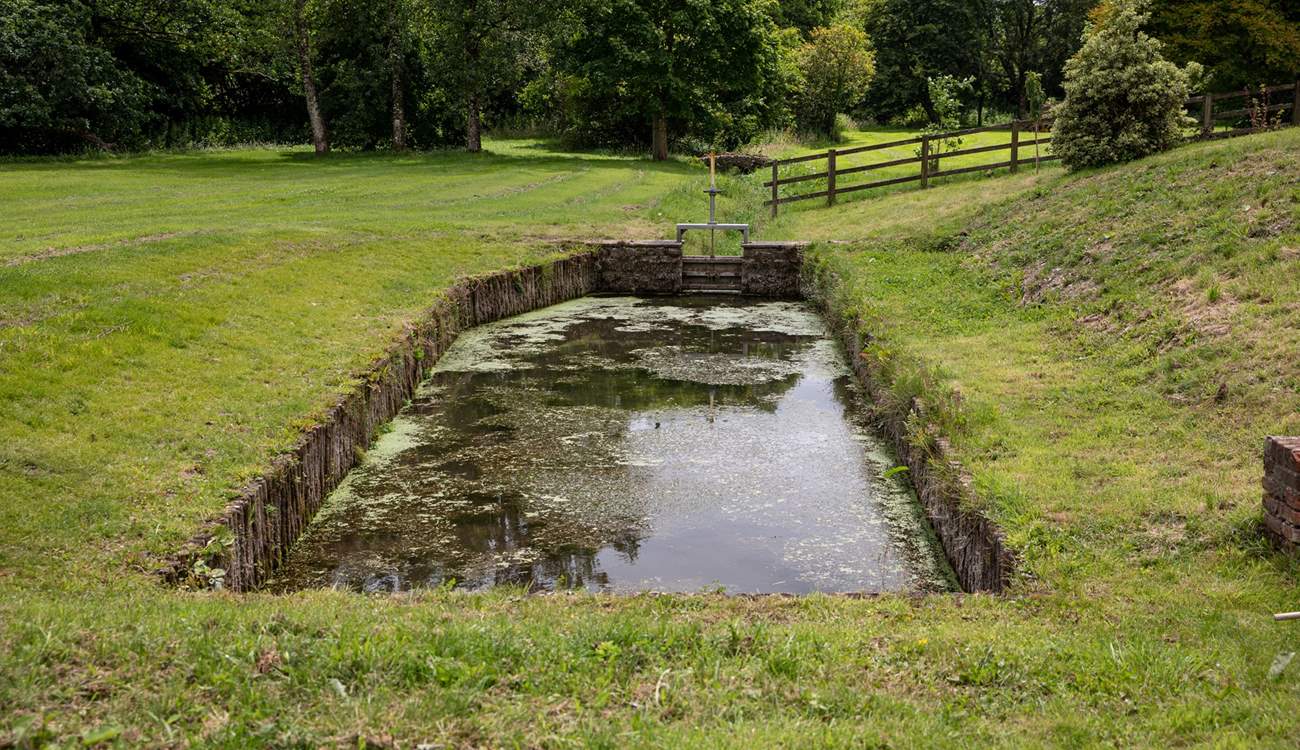 Situated a little distance from the side of The Old Mill is this pretty pond (please take care with younger guests and dogs). You'll be sure to spot the colourful dragonflies here.