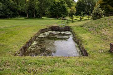 Situated a little distance from the side of The Old Mill is this pretty pond (please take care with younger guests and dogs). You'll be sure to spot the colourful dragonflies here.