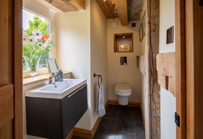 Even the ground floor WC is gorgeous.