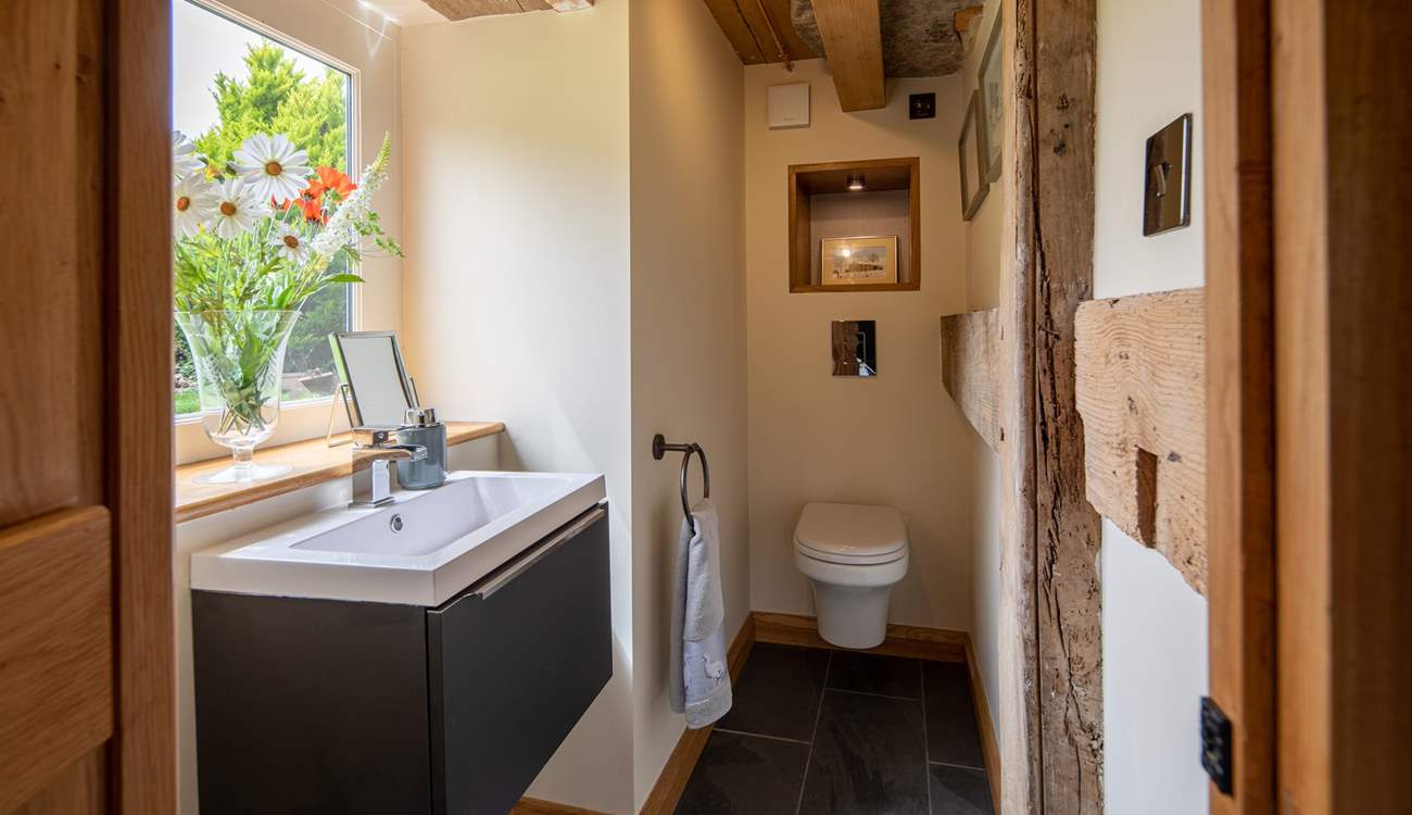 Even the ground floor WC is gorgeous.