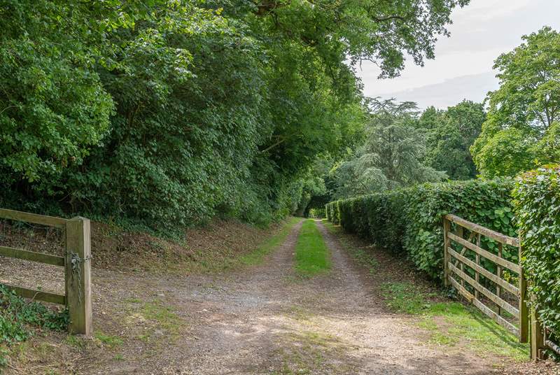 A view of the private track leading to the cottage. It is well-maintained but there are areas that may not be suitable for a low-slung car.