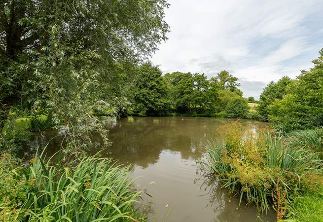 Carp fishing is available in the private lakes of the owner's grounds - please do inform us if this is something you would like to do. The lakes are very deep so please don't allow children to wander beyond your private garden.