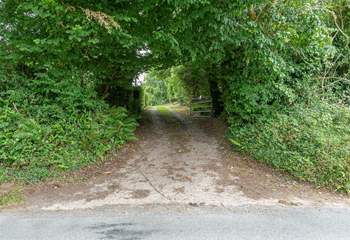 This is the entrance to the track - it is quite enclosed by trees so do keep an eye out for the turning.