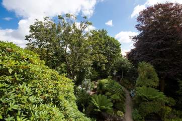 The view from the master bedroom.