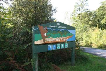 Spend the day exploring the forest, within a five minute drive from Myrtle Dene.