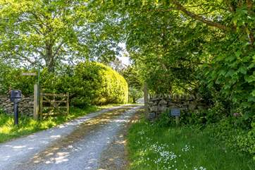 The track down to the house.