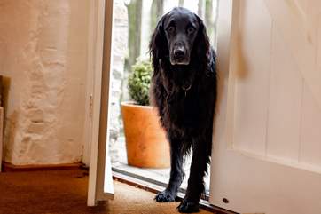 This barn is for all the family including your trusty four-legged friend.