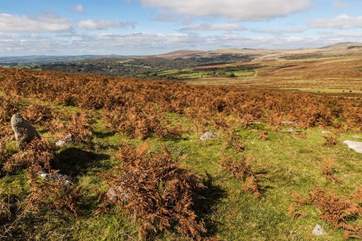 Dartmoor National Park offers the best of the outdoors and should be explored.