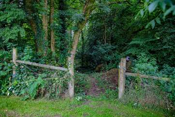 You have acres of private woodland to enjoy from the front door.