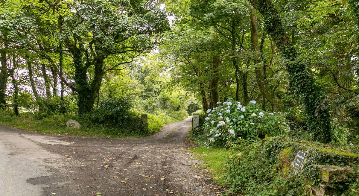 The leafy entrance to Willow Cottage. 