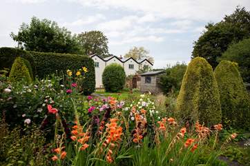Peeking through from the gorgeous flower beds.