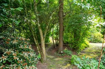 So many secret spots to explore.