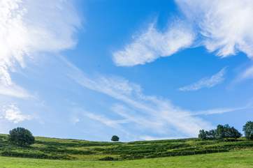 Such peace you will find in rural Dorset.