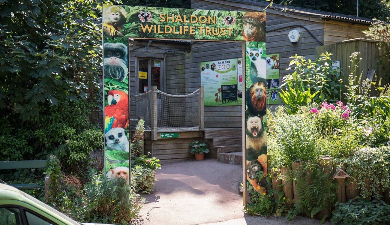 Shaldon is a very special place too, with this fabulous zoo right on your doorstep. Great day out for the kiddies.