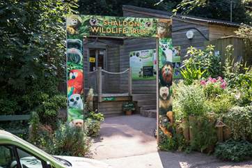 Shaldon is a very special place too, with this fabulous zoo right on your doorstep. Great day out for the kiddies.
