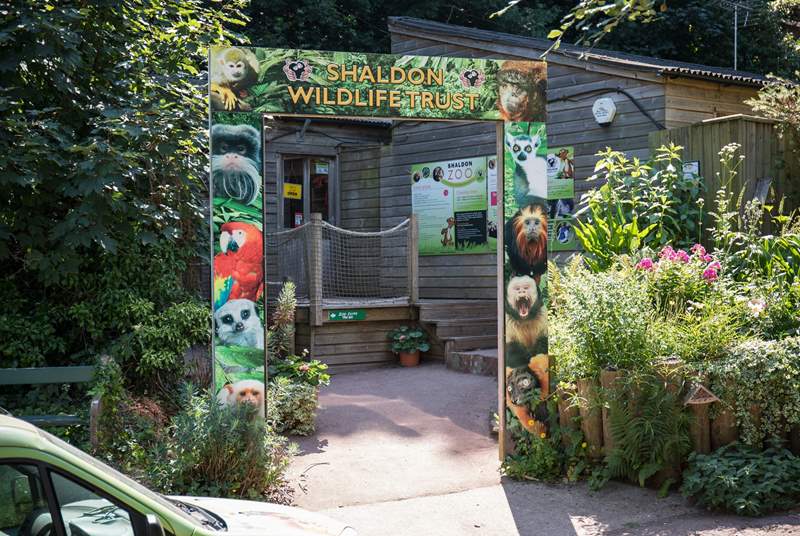 Shaldon is a very special place too, with this fabulous zoo right on your doorstep. Great day out for the kiddies.