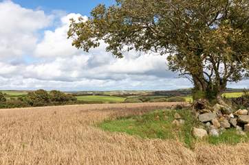 Who needs a sea view when you can enjoy this panorama.