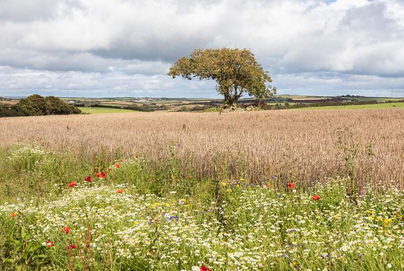 Enjoy the changing seasons with wonderful views of the surrounding countryside.