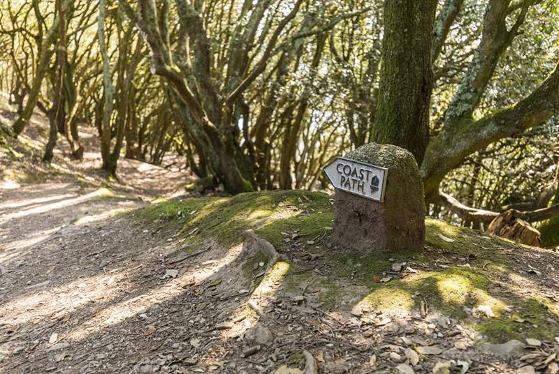 There are many great places to walk in this area as you are close to the Helford River and the Lizard peninsula.
