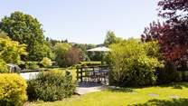 What a stunning spot to enjoy the sun.