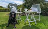 Bring your furry friend along for a holiday - The Cattle Byre allows one dog.  - Thumbnail Image