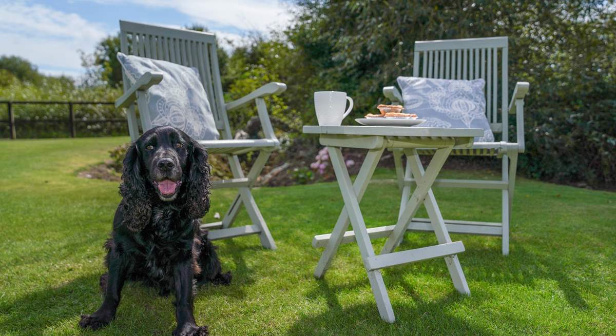 Bring your furry friend along for a holiday - The Cattle Byre allows one dog. 