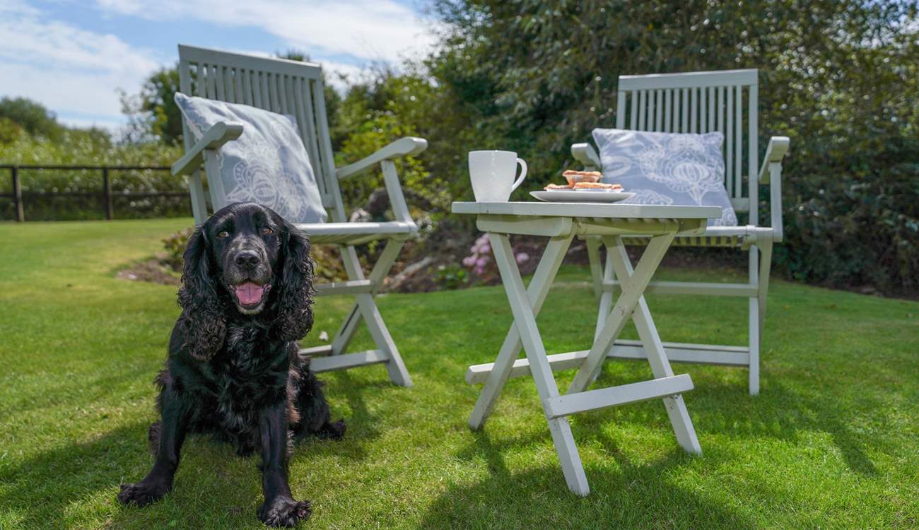 Bring your furry friend along for a holiday - The Cattle Byre allows one dog. 