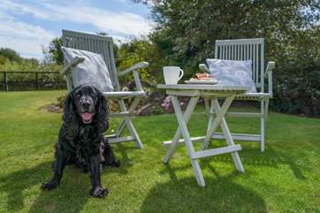 Bring your furry friend along for a holiday - The Cattle Byre allows one dog.