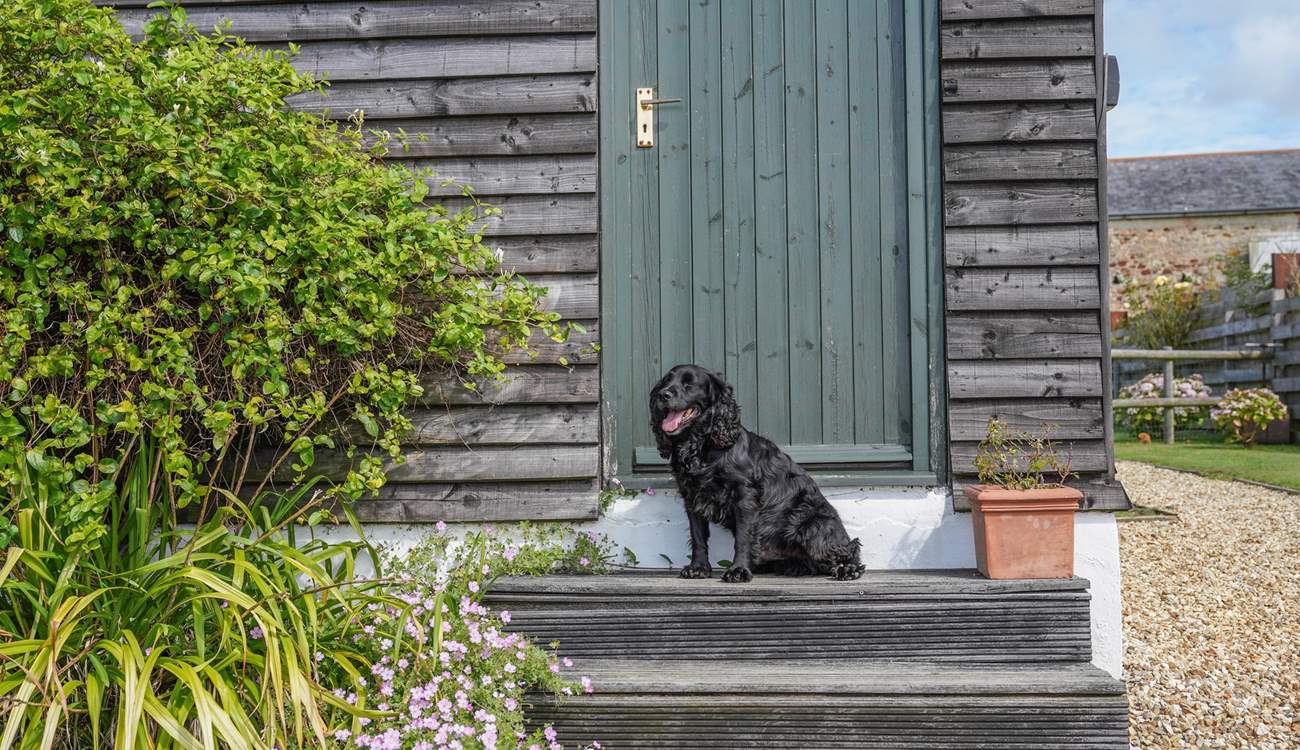 The Stables is set in the perfect location to explore the local walks the Island has to offer. 