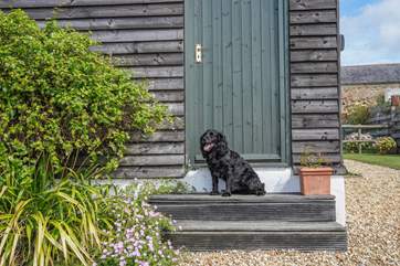 The Stables is set in the perfect location to explore the local walks the Island has to offer.