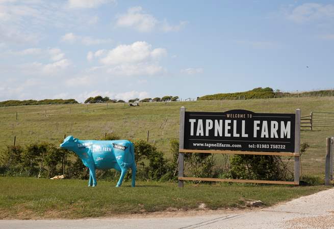 A fun filled family day out, Tapnell Farm is full of adventures!