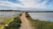 Newtown Creek Nature Reserve.