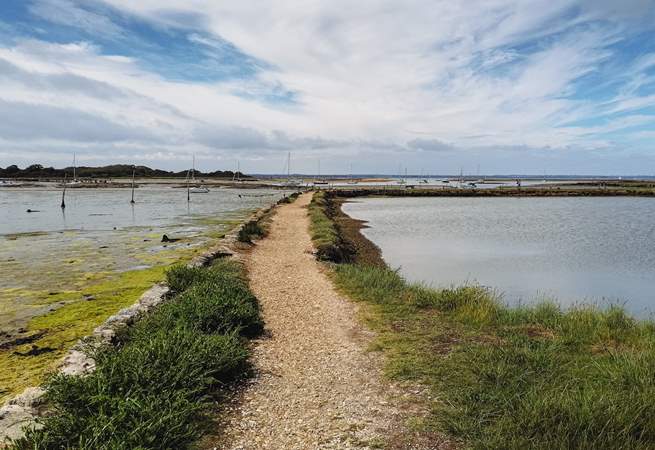 Newtown Creek Nature Reserve.