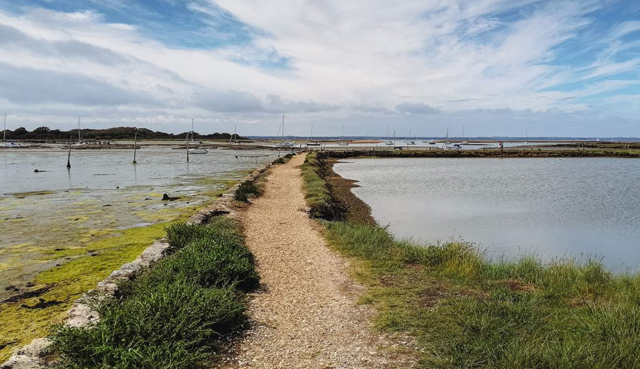 Newtown Creek Nature Reserve.