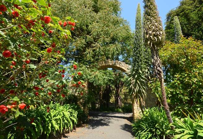 Ventnor Botanic Garden is a hidden gem, home to over 30,000 rare and exotic plants from around the world.