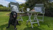 Treasure memories with your family, friends and your lovely dog!