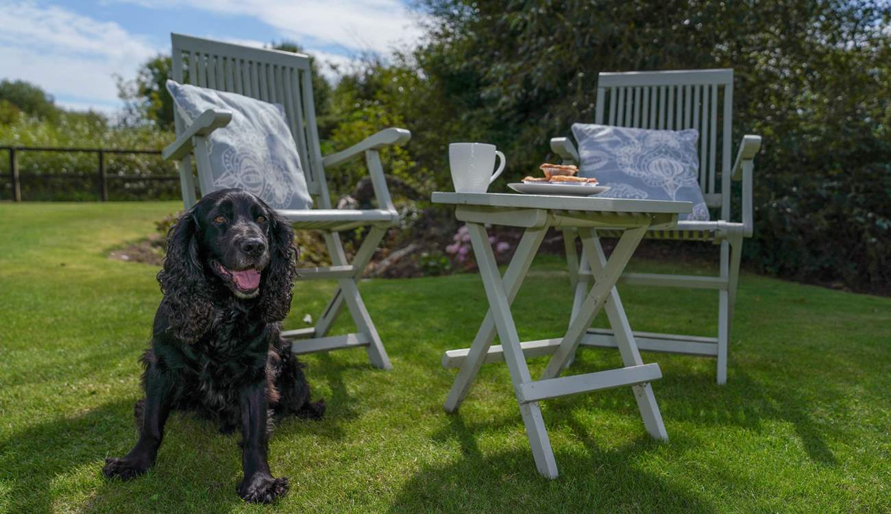 Treasure memories with your family, friends and your lovely dog!