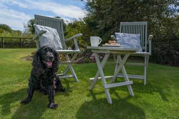 Treasure memories with your family, friends and your lovely dog!