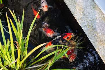 As you step out onto the terrace from the dining-room there is a little pond with colourful carp to enjoy watching (please supervise children and dogs).