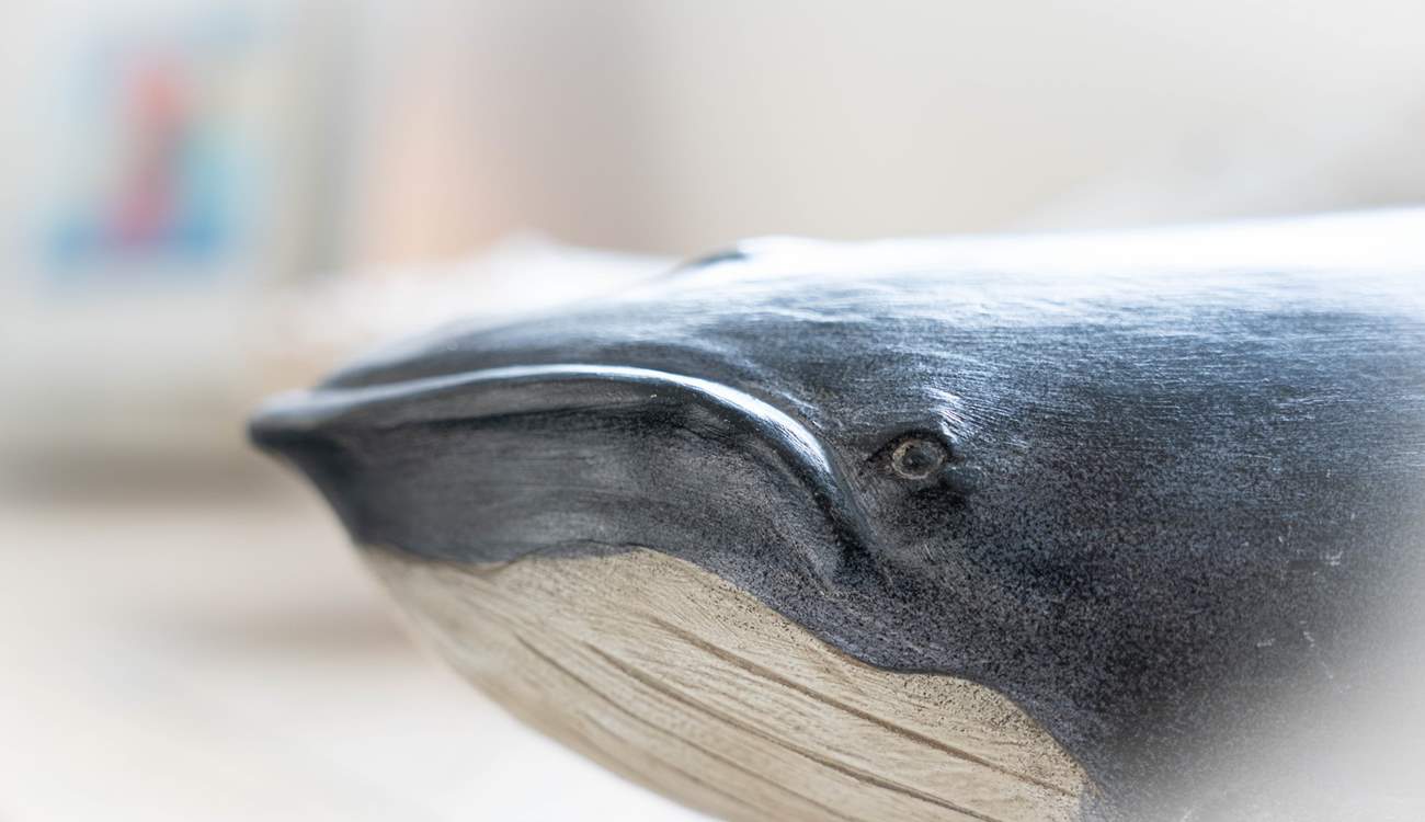 The owners have an eye for detail and have added thoughtful sea life editions on both floors. 