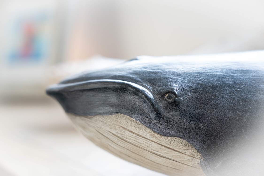 The owners have an eye for detail and have added thoughtful sea life editions on both floors.