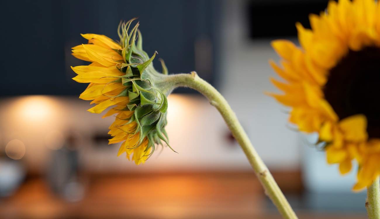 Redworth is stunning with a stylish finish. 