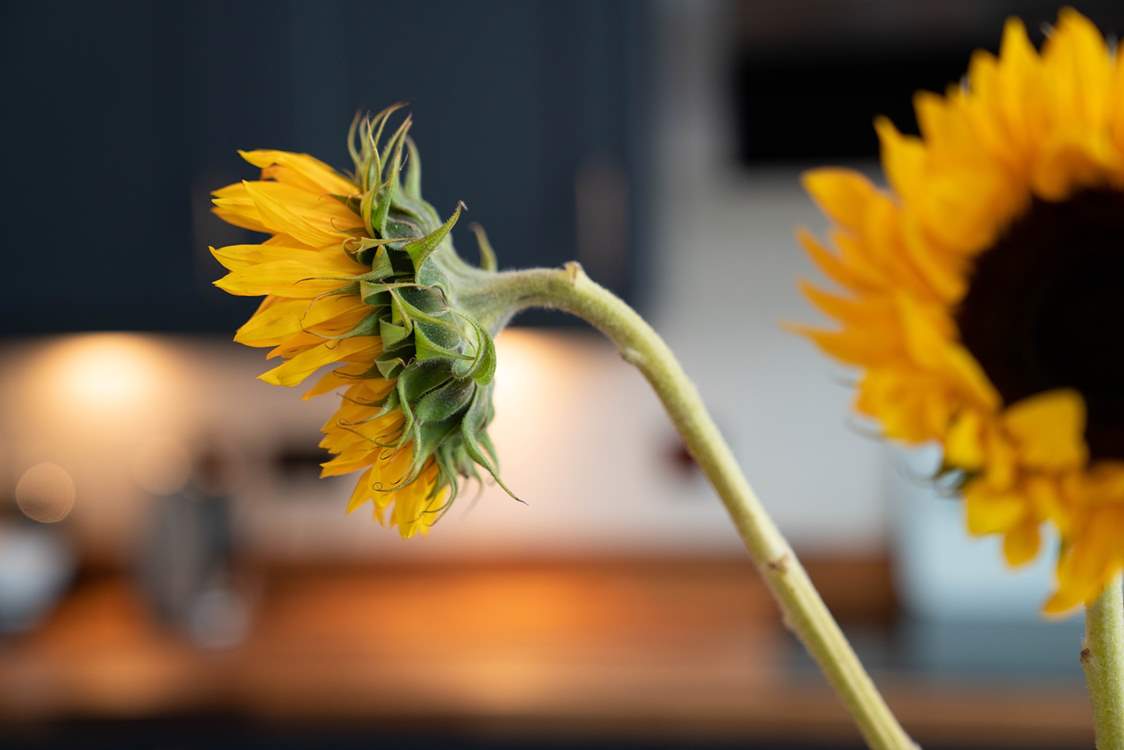 Redworth is completely refurbished with a stunning, stylish finish.