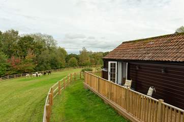 The alpaca paddock is just in front of Little Whitford - they are quite inquisitive so will be sure to come and say hello.