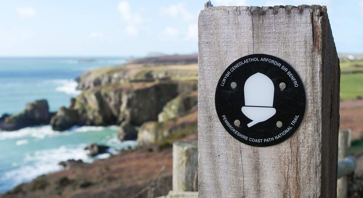 Stunning walks along the world famous Pembrokeshire Coastal Path.