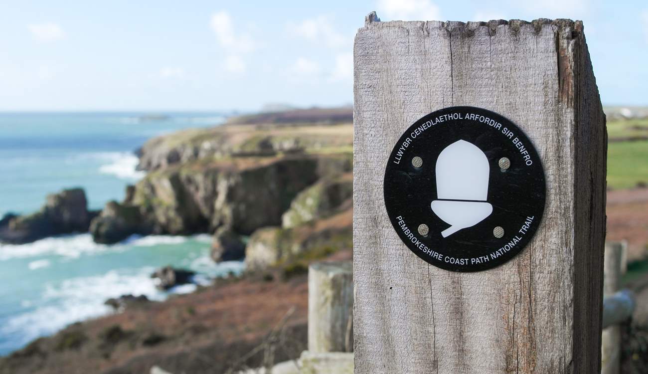 Stunning walks along the world famous Pembrokeshire Coastal Path.