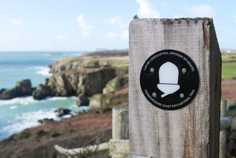Stunning walks along the world famous Pembrokeshire Coastal Path.
