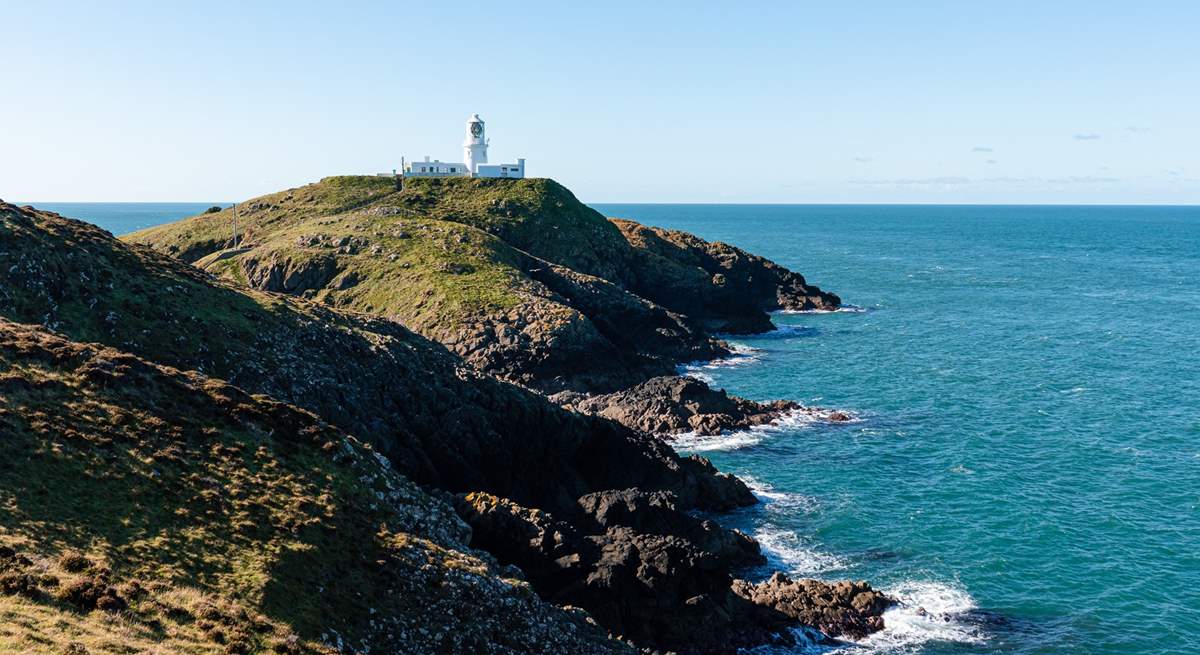 Explore the spectacular North Pembrokeshire coastline and glorious beaches from the Pink Door, or take a boat trip to spot dolphins off the coast. 