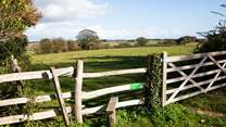 There are many excellent walks around the area.